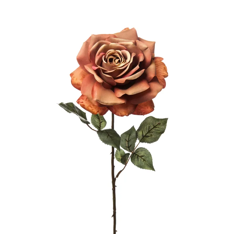 Rosa Madonna
