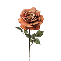 Rosa Madonna