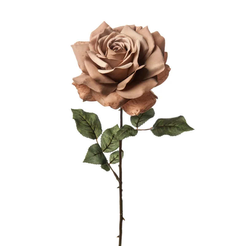 Rosa Madonna