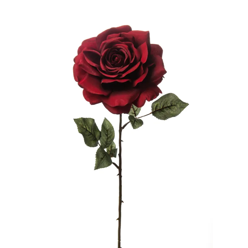 Rosa Madonna