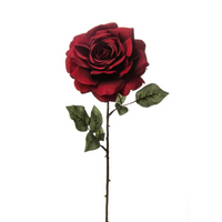 Rosa Madonna