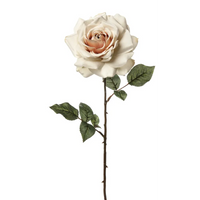 Rosa Madonna