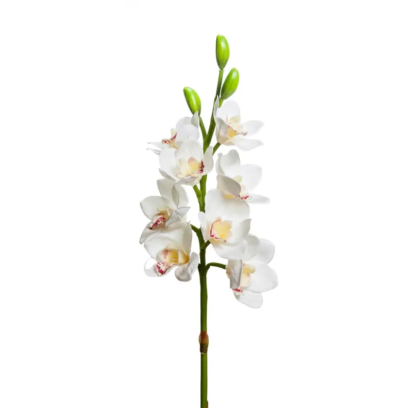Orchidea 8 fiori e 3 boccioli