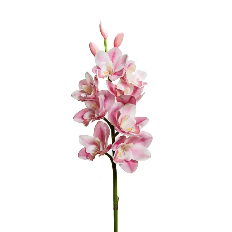 Orchidea 8 fiori e 3 boccioli