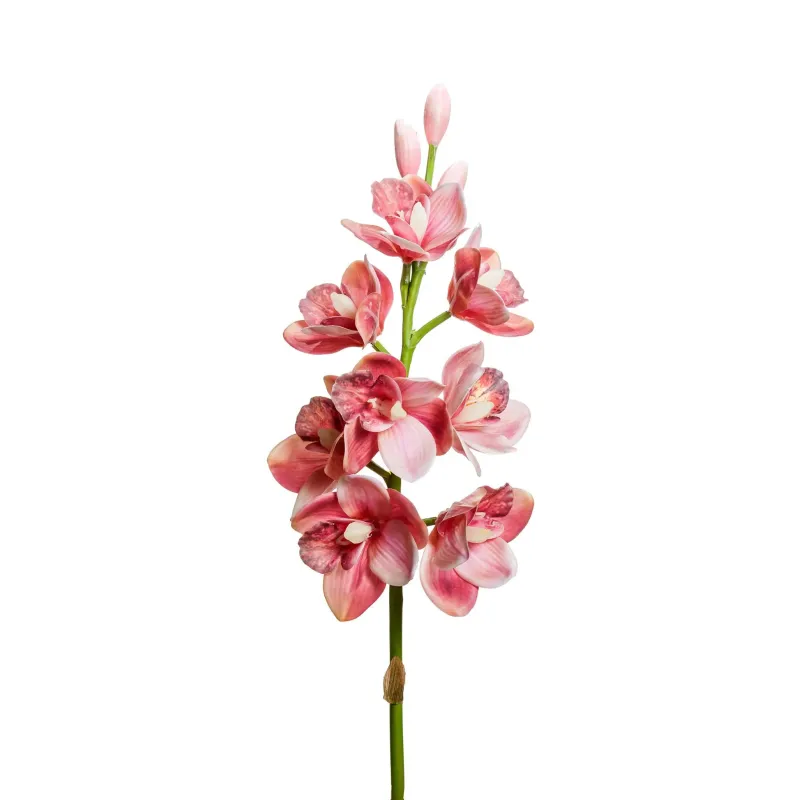 Orchidea 8 fiori e 3 boccioli