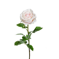 Rosa Elisa in tre colori