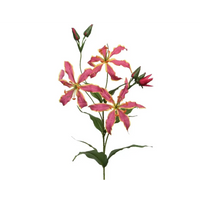 Fiore glorioso con stelo 3 fiori