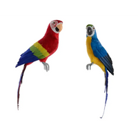 Pappagalli colorati cm 40