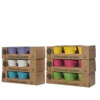 Citronella in Vasi Latta colorati pz.3