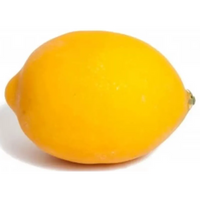 Limone Finto Decorativo diam. 10cm