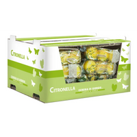 3 Bicchieri di Plastica con cera alla Citronella