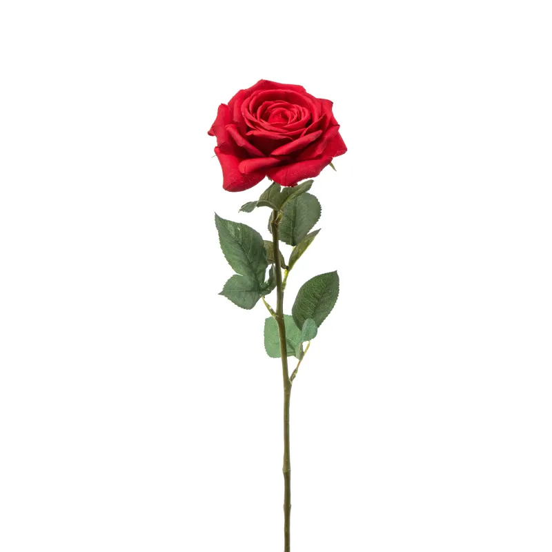 Rosa Irina Cm 60 in Vari Colori