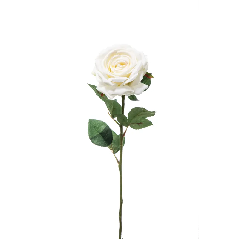 Rosa Irina Cm 60 in Vari Colori
