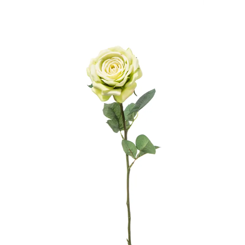 Rosa Irina Cm 60 in Vari Colori