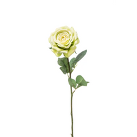 Rosa Irina Cm 60 in Vari Colori