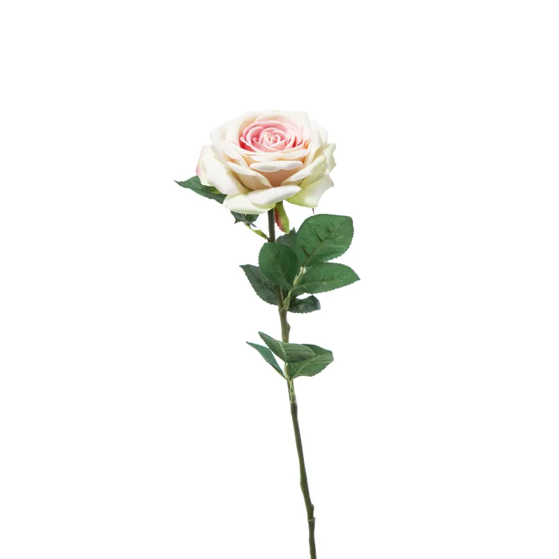 Rosa Irina Cm 60 in Vari Colori