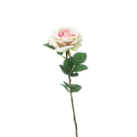 Rosa Irina Cm 60 in Vari Colori
