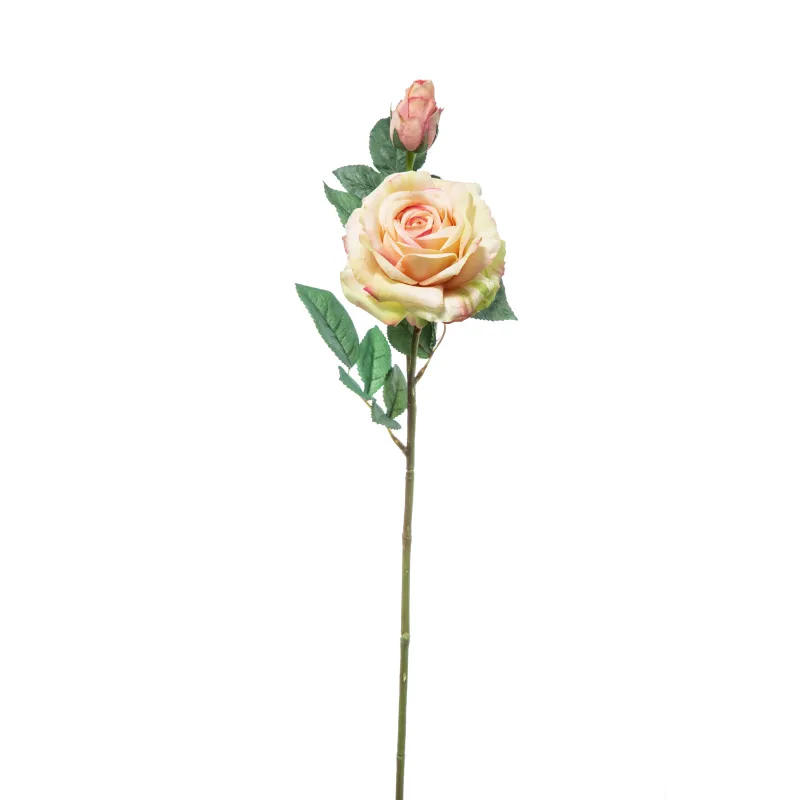 Rosa Natural Touch Cm 65