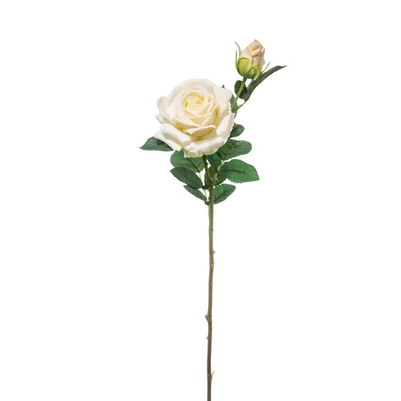 Rosa Natural Touch Cm 65