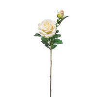 Rosa Natural Touch Cm 65