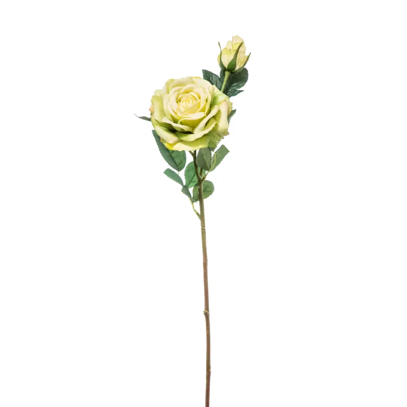Rosa Natural Touch Cm 65