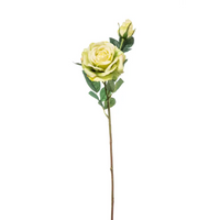 Rosa Natural Touch Cm 65