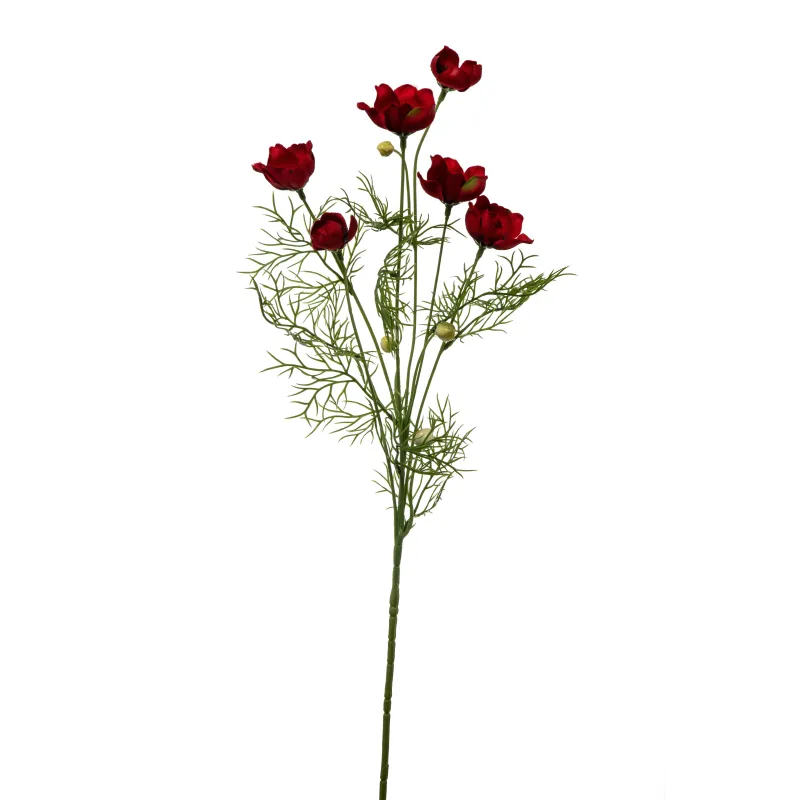 Anemoni a mazzo Cm 68