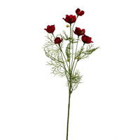 Anemoni a mazzo Cm 68
