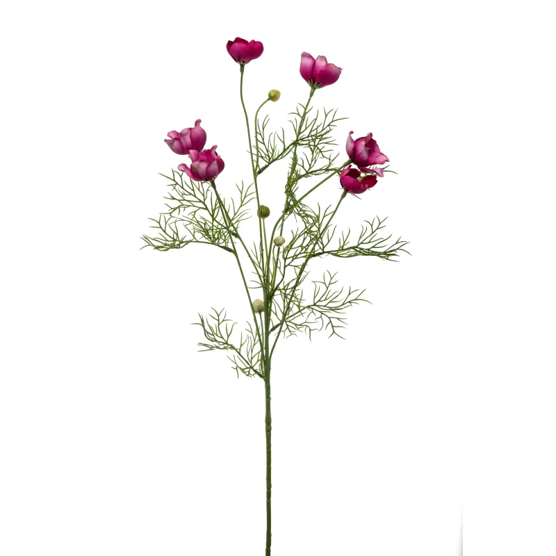 Anemoni a mazzo Cm 68