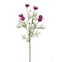 Anemoni a mazzo Cm 68