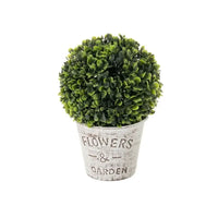 Sfera di Bosso con Vaso Cm 17x27