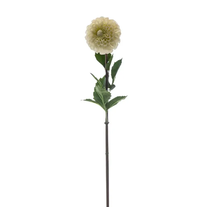 Dalia color Crema H 92 Cm