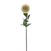 Dalia color Crema H 92 Cm