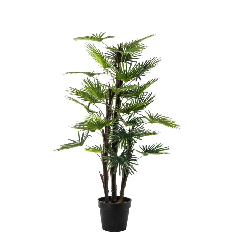 Pianta Palma Phoenix con 30 Foglie H 120 Cm