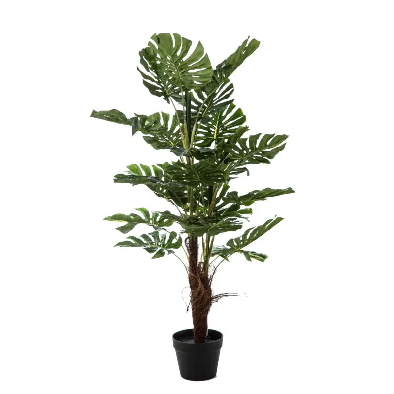 Pianta Filodendro con 24 Foglie H 120 Cm