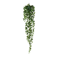 Edera Cadente 423 Foglie Cm 180 h