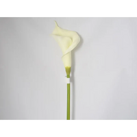 Calla color Panna Cm 84