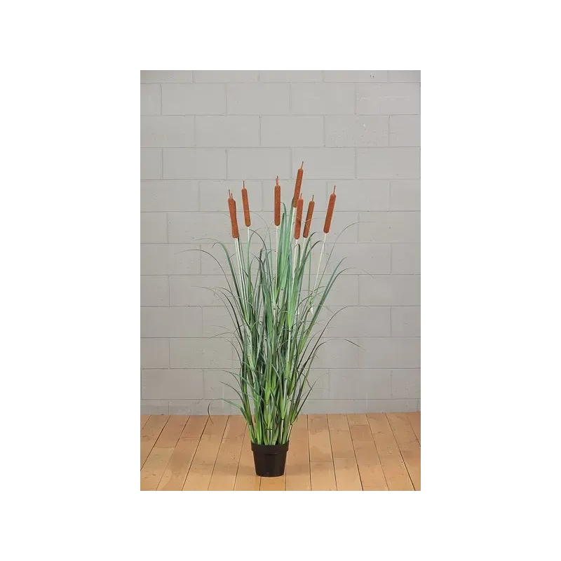 Biodino 5 Fiori H 114 Cm Verde