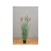 Biodino 5 Fiori H 114 Cm Verde