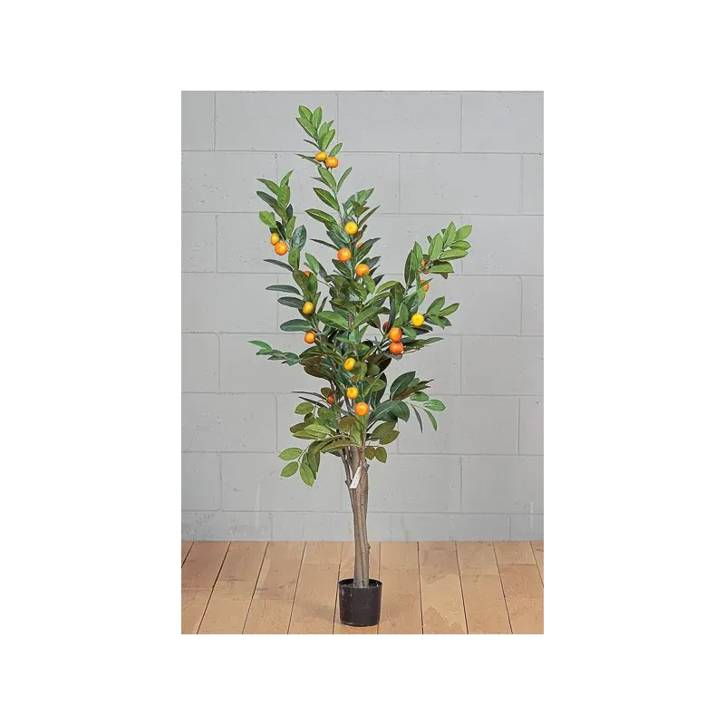 Pianta Arancio h150 cm 30 Frutti