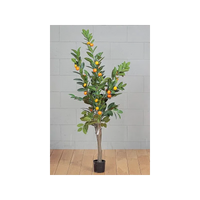 Pianta Arancio h150 cm 30 Frutti