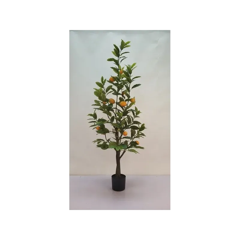Pianta Limoni h 150 cm 258 Foglie