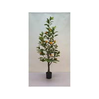 Pianta Limoni h 150 cm 258 Foglie