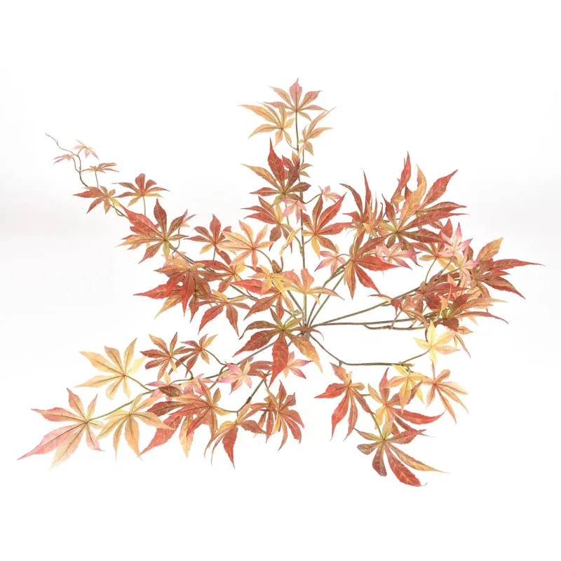 Acero Arancio in Mazzo h. 60cm