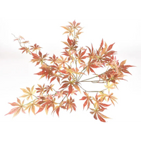 Acero Arancio in Mazzo h. 60cm