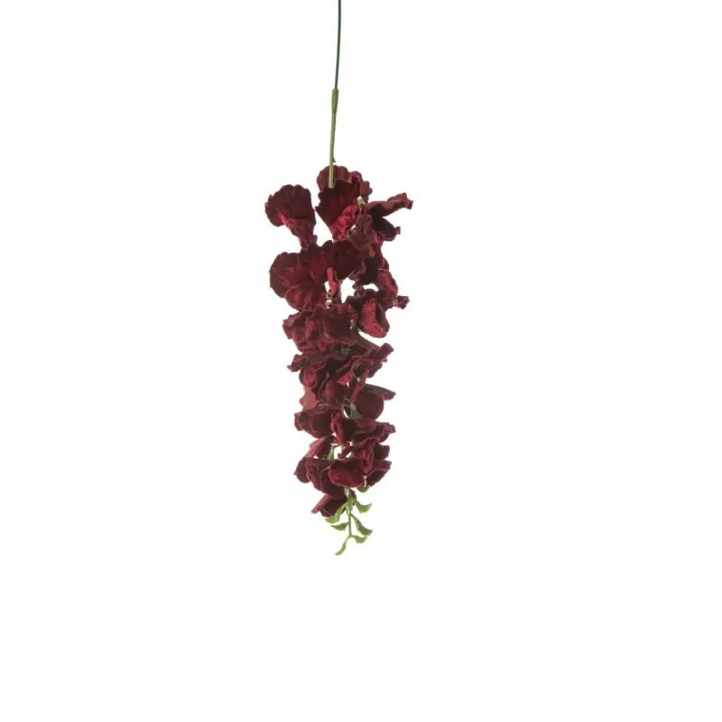 Glicine Deluxe Velvet