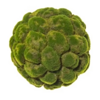 Sfera Muschio Green