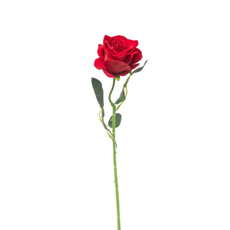 Rosa in Velluto cm 51