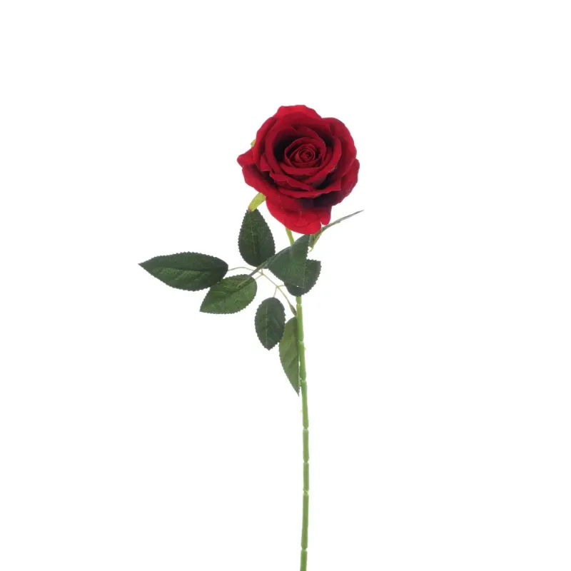 Rosa in Velluto cm 51