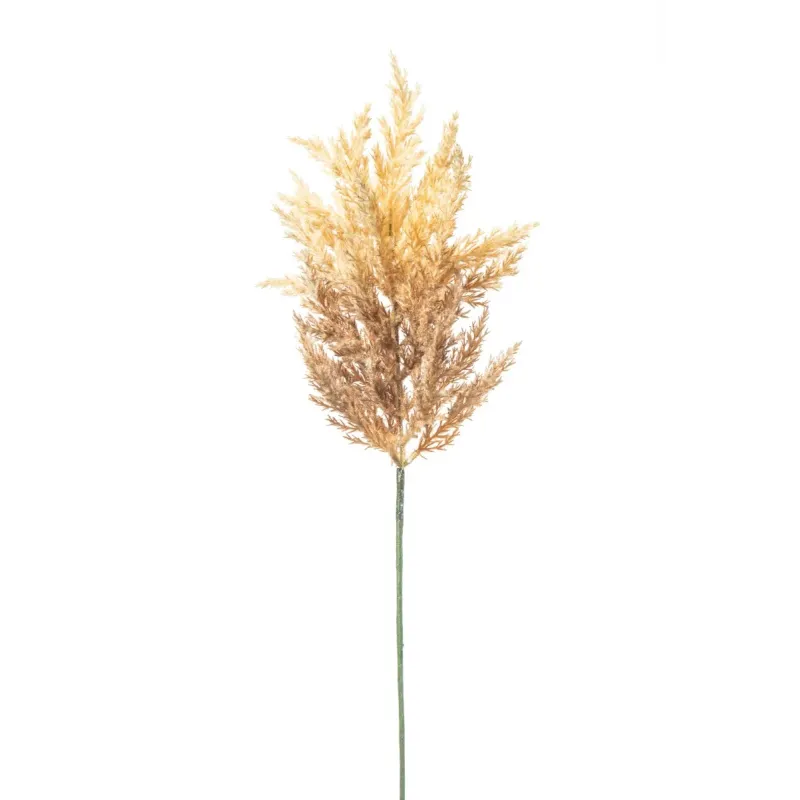 Astilbe cm 65